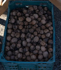 Walnuts in a box for sale