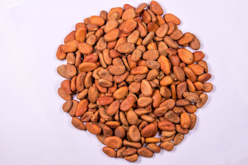 CACAO