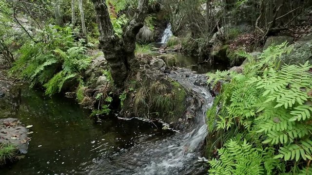 Ribeiro de Milreu brook next to Milreu village, Vila de Rei, district of Castelo Branco, Portugal	