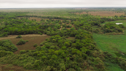 landscape of the pantanal in brazil from above