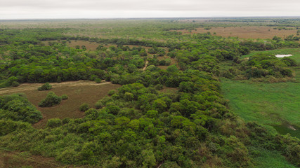 Obraz premium landscape of the pantanal in brazil from above
