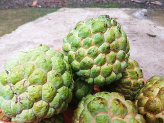 Custard apple