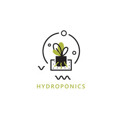 Hydroponics. Vector illustration of plant on water without soil. Home agriculture concept.
