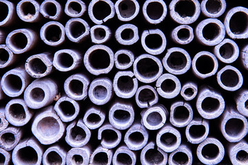 Stacked reed tubes in an insect hotel