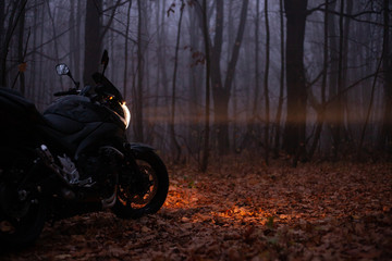 Heavy fog in the autumn forest and black motorcycle