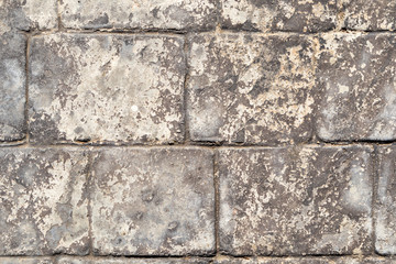 old cement block wall with moss