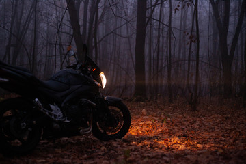 Heavy fog in the autumn forest and black motorcycle