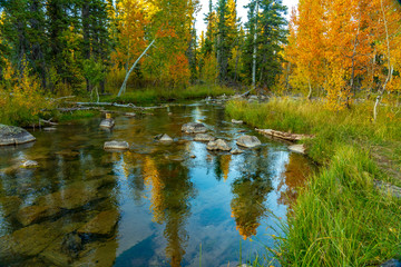 Reflections of Aspen in Duck Creek Fall Colors