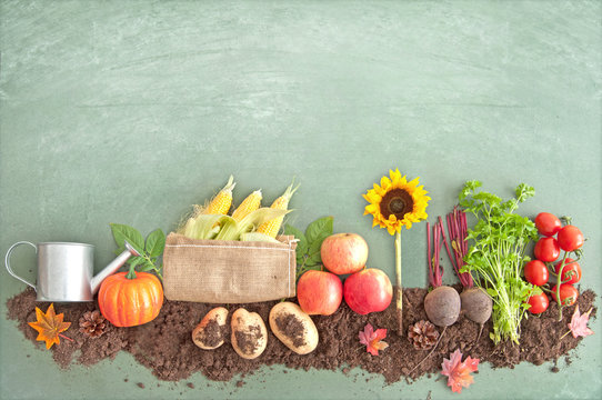Autumn Organic Food Produce