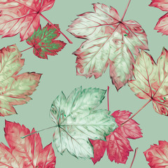 Fototapeta premium Maple leaves seamless pattern. Watercolor background.