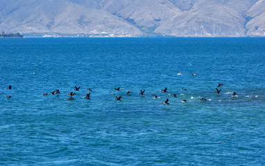 Lake Sevan, the largest lake in Armenia and the Caucasus region