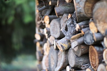 firewood. harvested, dried firewood for the fireplace.