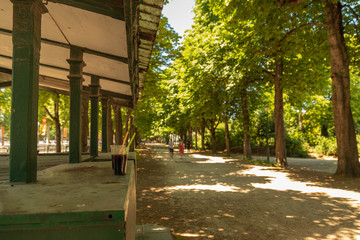 alley in the park
