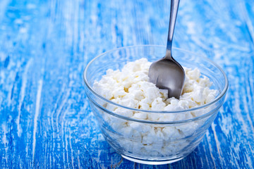 fresh cottage cheese in a plate