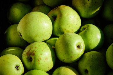 Group of fresh green apples displayed for sale at a street food market, natural background, soft focus