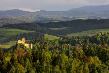 Fototapety na wymiar - Fototapeta24.pl