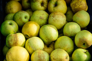 Group of fresh green apples displayed for sale at a street food market in Bucharest, Romania, natural background, soft focus