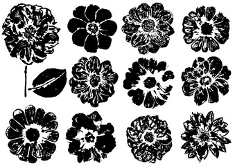 set of ink prints of dahlia flowers