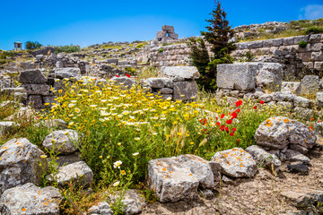 Fototapeta na wymiar Green and flowers in the ruins of old Thira, Santorini, Greece