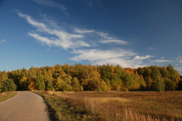 Fototapeta na wymiar autumn landscape with road and clouds