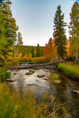 Duck Creek and the Aspen in Fall