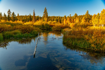 Duck Creek Flows Through the Meadow of Cedar Mountain