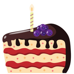 chocolate cake with a candle and blueberries