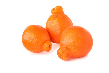 Three tasty mineolas isolated on white