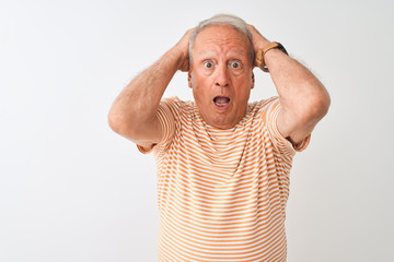 Senior grey-haired man wearing striped t-shirt standing over isolated white background Crazy and scared with hands on head, afraid and surprised of shock with open mouth