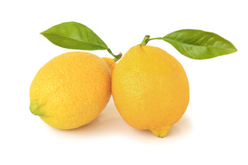 Two lemons with leaves isolated on white