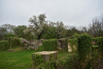 ruins of old abbey in Hungary