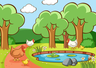 Scene with chickens in the park