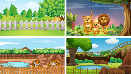 Four scenes with wild animals