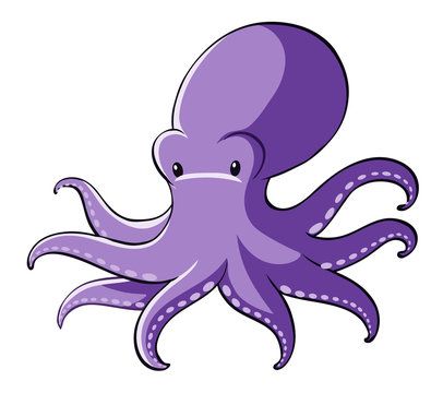 Purple octopus on white background