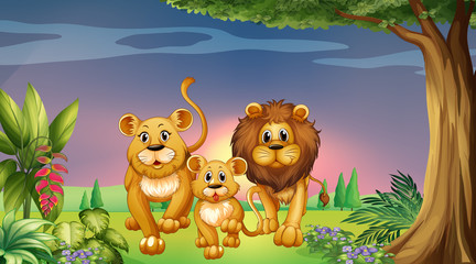 Obraz na płótnie Canvas Scene with tiger family in the park
