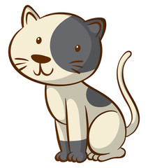 Cute cat on white background