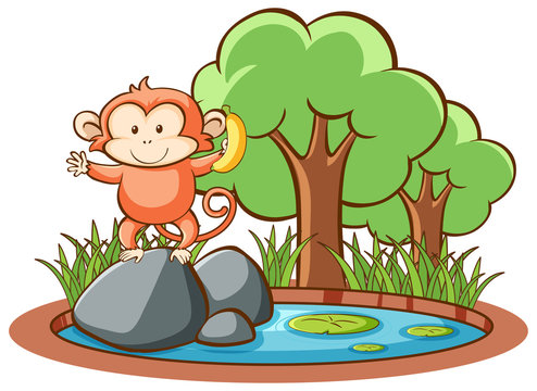 Isolated picture of cute monkey
