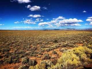 High desert plains in Colorado