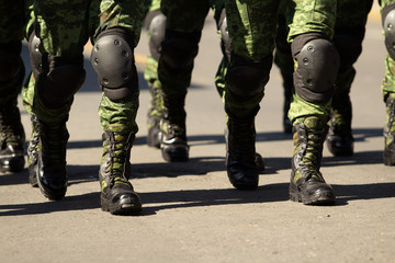 close up of a group of military boots male soldiers at a parade, green camel military pants