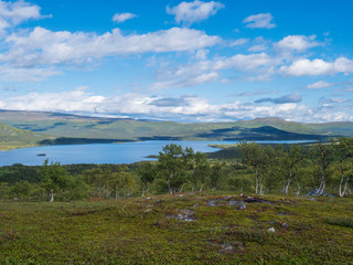 Fototapeta na wymiar Lapland landscape with beautiful river Lulealven, snow capped mountain, birch tree and footpath of Kungsleden hiking trail near Saltoluokta, north of Sweden wild nature. Summer blue sky