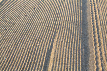 Sea beach light crumbly sand.