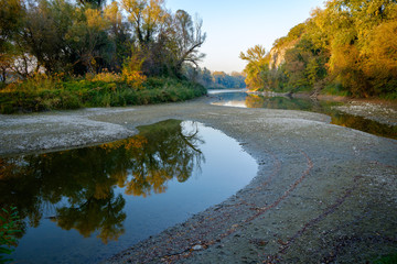 Danube wetland 3