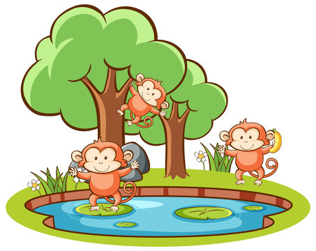 Isolated picture of monkeys in garden