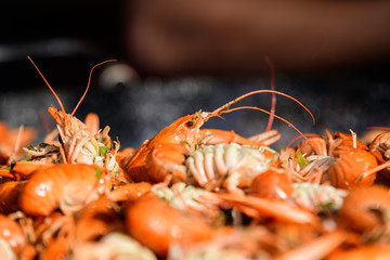 Close up of freshly cooked European crayfishes Astacus astacus with spices displayed for sale at a street food festival, ready to eat seafood photographed with soft focus