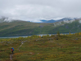 Senior woman hiker at Kungsleden hiking trail with Lapland nature with green mountains, Teusajaure lake, rock boulders, autumn colored bushes, birch tree and heath in mist and clouds