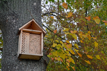 insektenhotel im volkspark mainz