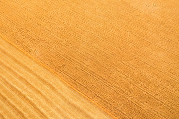 Combine harvester harvests wheat in the field at sunset in autumn in Russia. top view of the field after harvesting