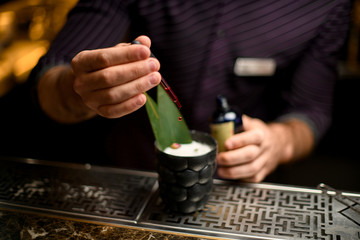 Professional bartender drop an essence to a a glass with cocktail decorated with a green tropical leaf and dried rose bud