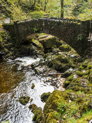 Fototapeta premium Lake District - Aira Force Waterfall