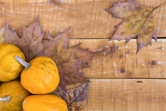 Autumn background with pumpkins